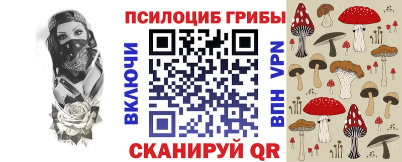 как найти наркотики  Верхняя Пышма  Галлюциногенные грибы мухоморы 